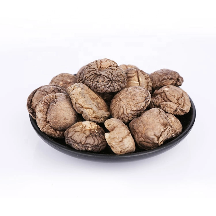 Dried Shiitake Mushrooms Organic Dried Food Shiitake Mushroom