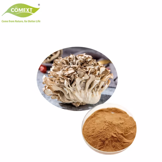 マイタケエキス末、グリフォラフロンドサエキス末 4:1、有機キノコ
